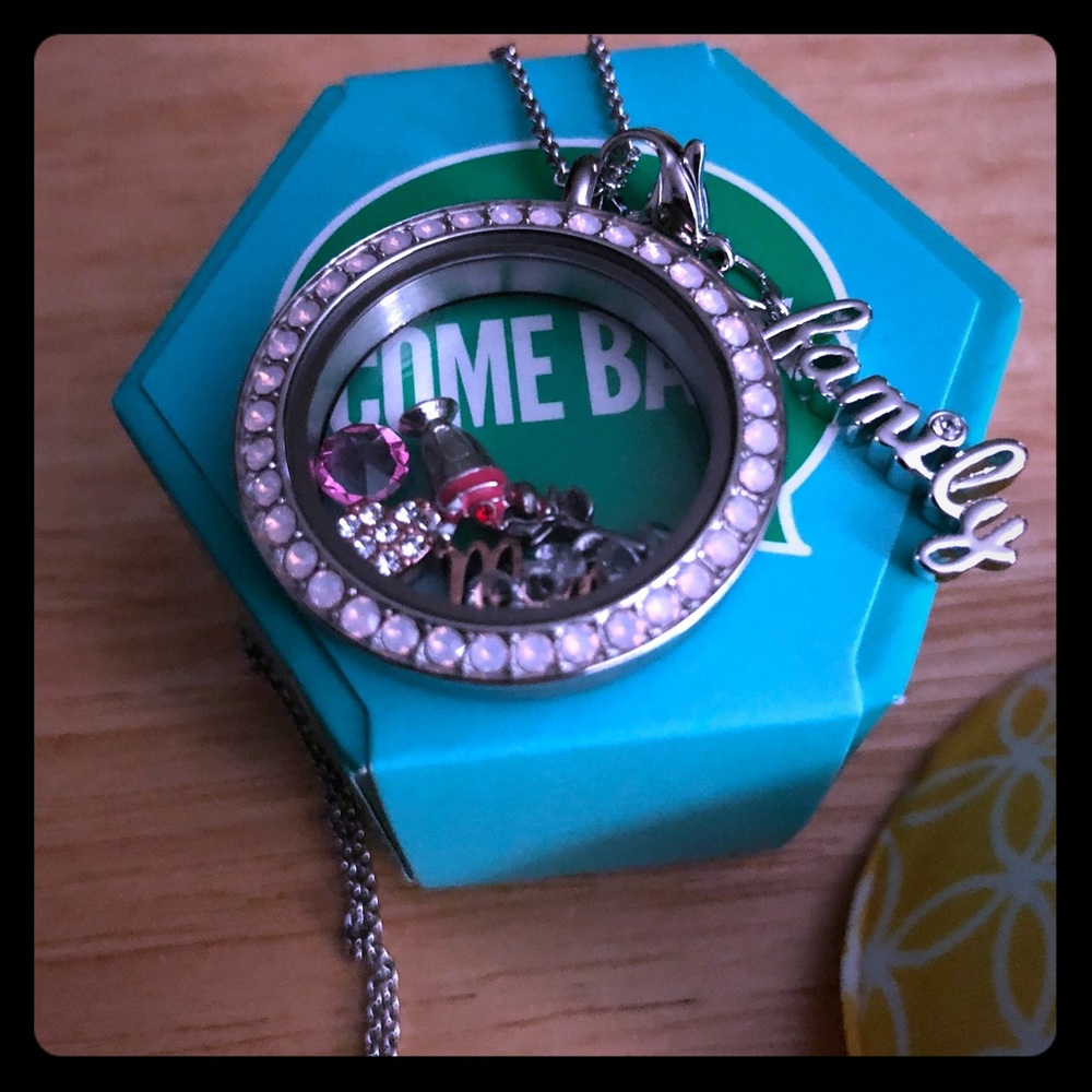 Large Opal Pink twist locket